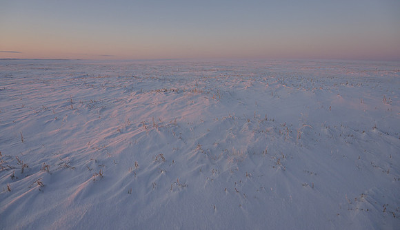 Eastern Mongolian Steppes
