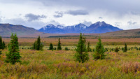 Denali