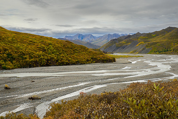 Denali