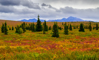 Denali