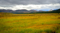 Denali