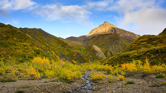 Denali