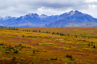 Denali
