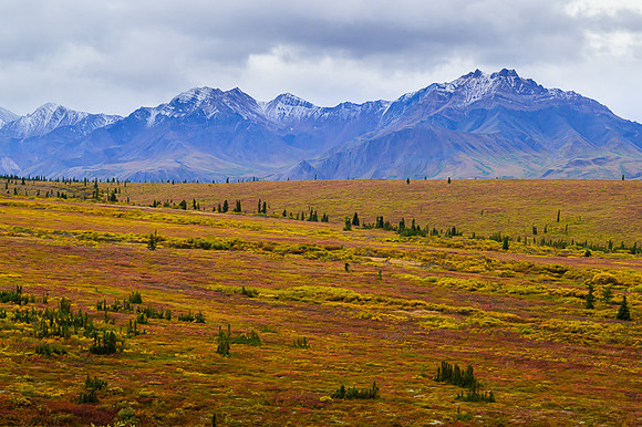Denali