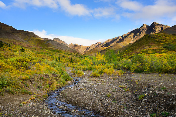Denali
