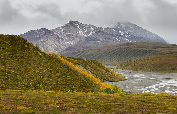 Denali