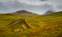 Denali