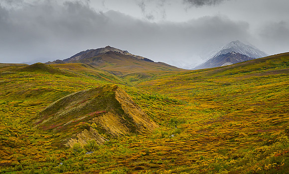 Denali