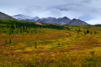 Denali
