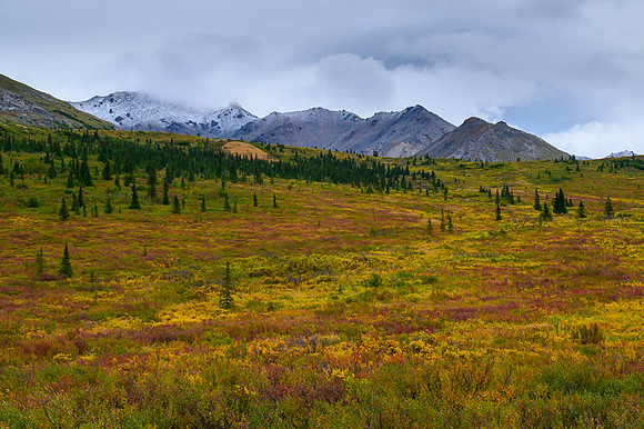 Denali