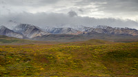 Denali
