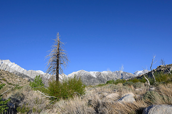 Eastern Sierras
