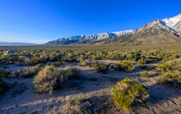 Eastern Sierras
