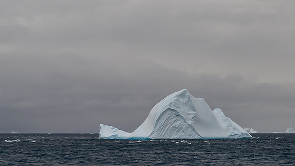 Icebergs, South Georgia