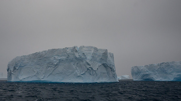 Icebergs, South Georgia