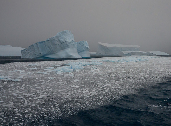 Icebergs, South Georgia