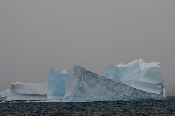 Icebergs, South Georgia