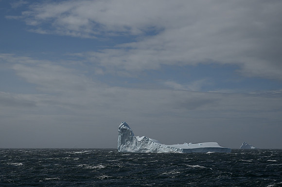 Icebergs, South Georgia