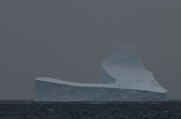 Icebergs, South Georgia