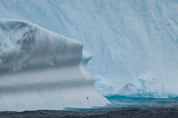Icebergs, South Georgia