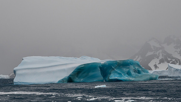 Icebergs, South Georgia