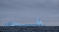 Icebergs, South Georgia