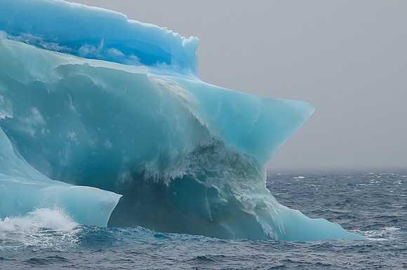 Icebergs, South Georgia