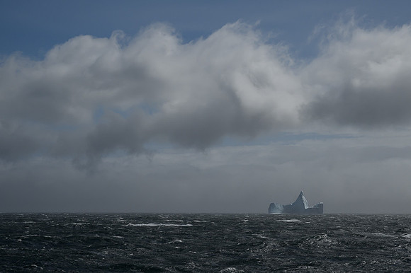 Icebergs, South Georgia