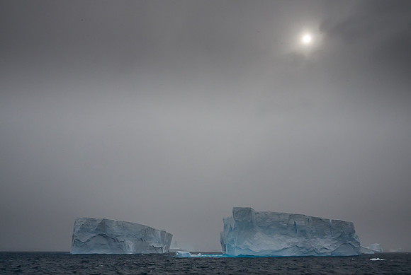 Icebergs, South Georgia