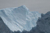 Icebergs, South Georgia
