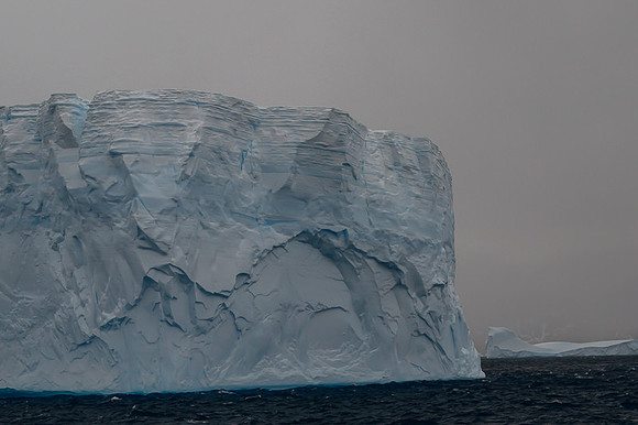 Icebergs, South Georgia