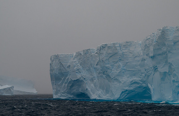 Icebergs, South Georgia