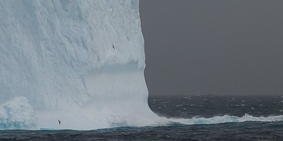 Icebergs, South Georgia