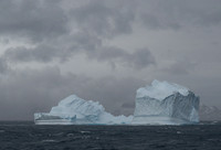 Icebergs, South Georgia