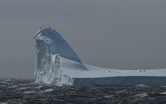 Icebergs, South Georgia