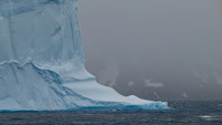 Icebergs, South Georgia