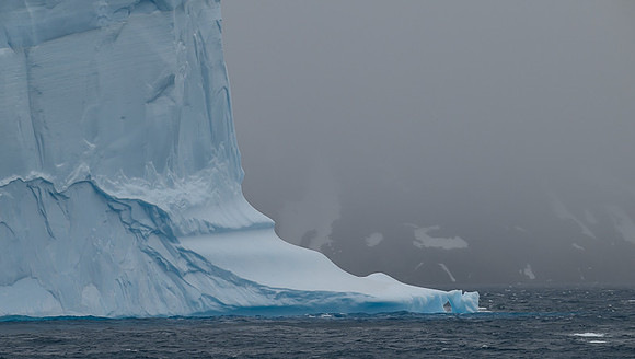 Icebergs, South Georgia