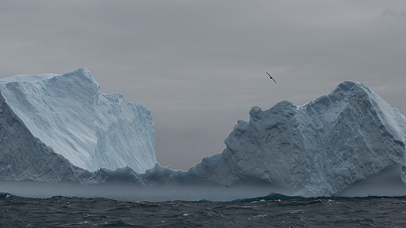 Icebergs, South Georgia