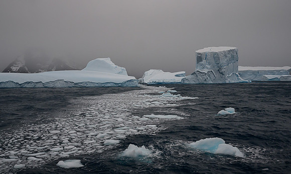 Icebergs, South Georgia