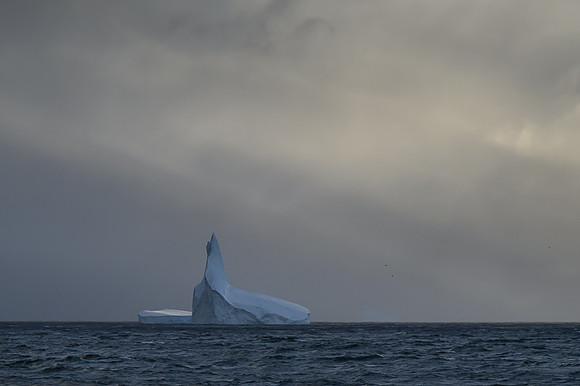 Icebergs, South Georgia