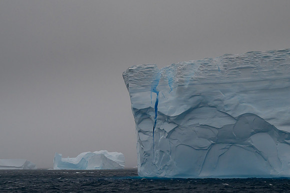 Icebergs, South Georgia