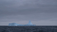 Icebergs, South Georgia