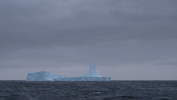 Icebergs, South Georgia