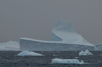 Icebergs, South Georgia