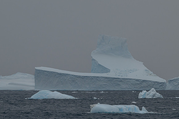 Icebergs, South Georgia