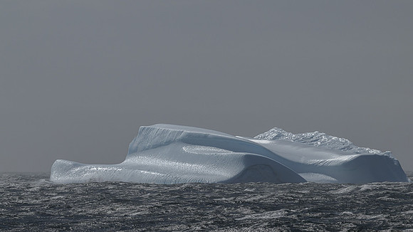 Icebergs, South Georgia