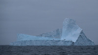 Icebergs, South Georgia