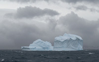 Icebergs, South Georgia
