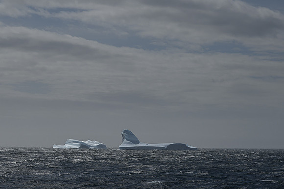 Icebergs, South Georgia