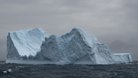 Icebergs, South Georgia